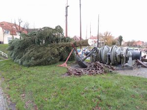 Weihnachten 2017 - Der Weihnachtsbaum liegt neben dem Anker